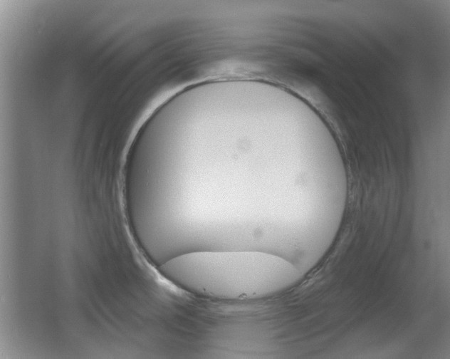 X0000064761486200602101015
