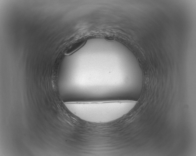 X0000064761490200602101014