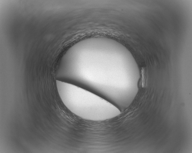 X0000064761491200602101014