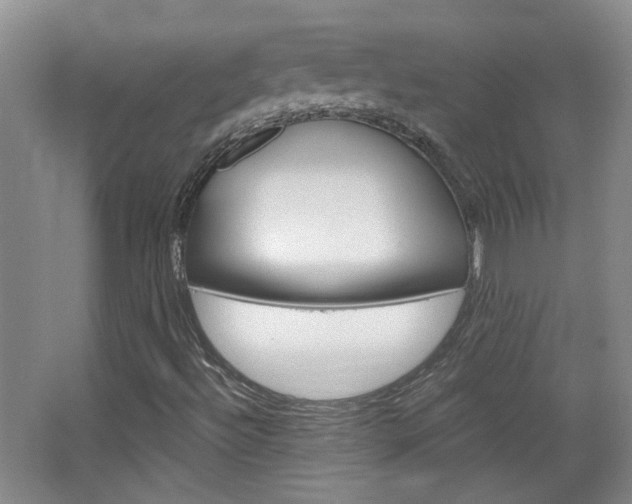 X0000064761492200602101014