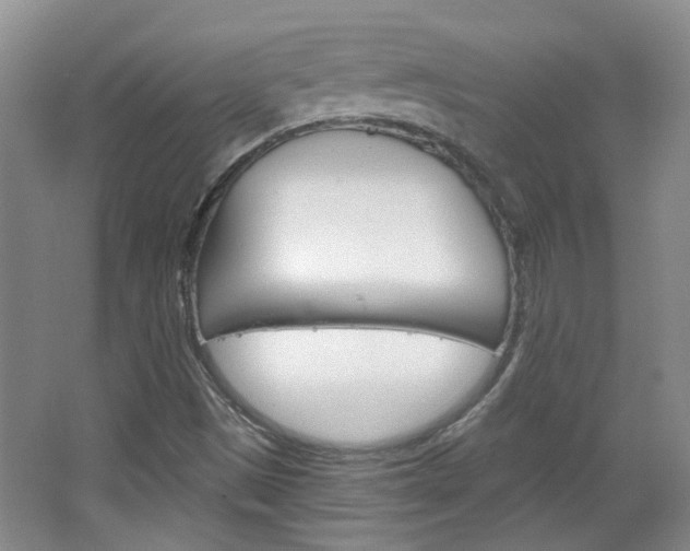 X0000064761497200602101014