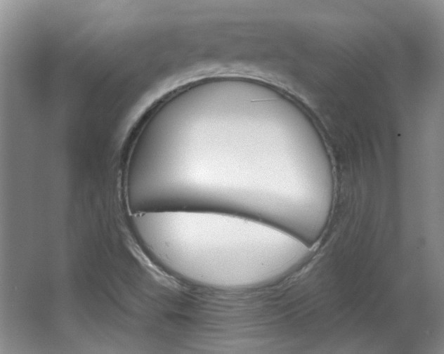 X0000064761503200602101014