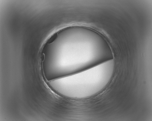 X0000064761504200602101014