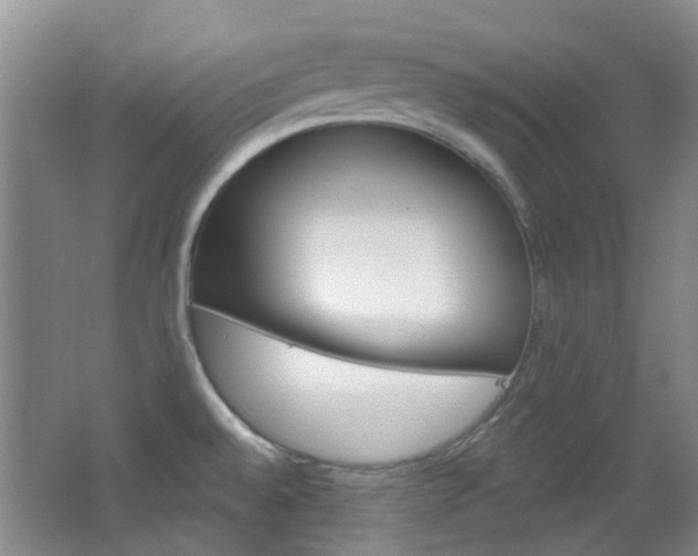 X0000064761528200602101014