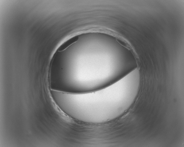 X0000064761530200602101014