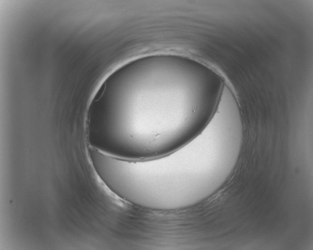 X0000064761532200602101014