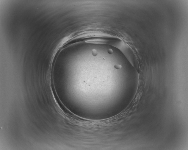 X0000064760003200602101235
