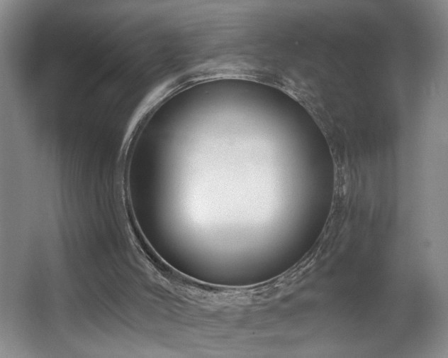 X0000064760004200602101235