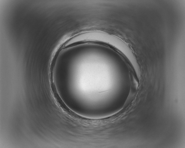 X0000064760006200602101235