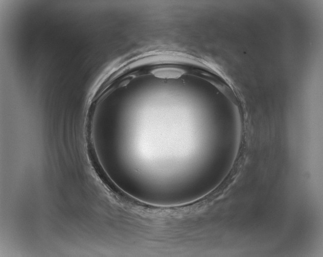 X0000064760007200602101235