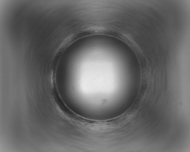 X0000064760024200602101235