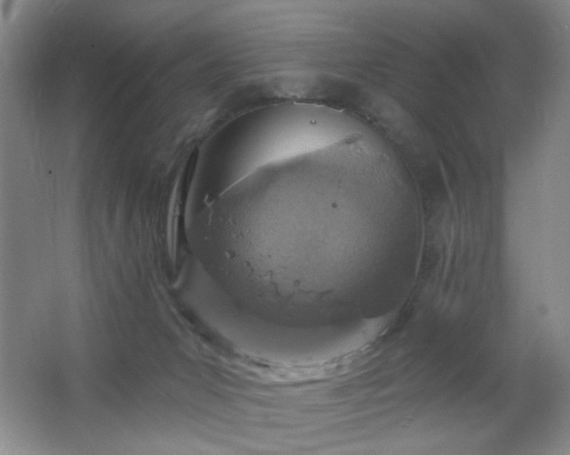 X0000064760031200602101235