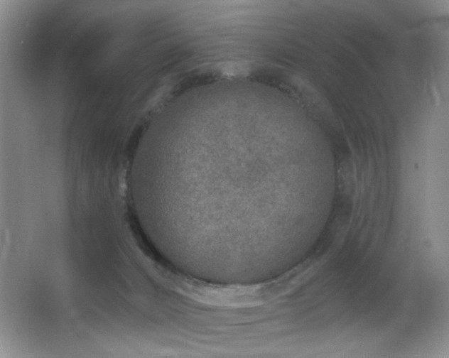 X0000064760032200602101235