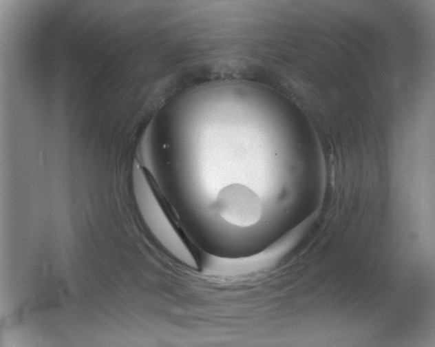 X0000064760038200602101234