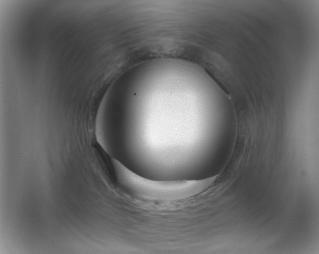 X0000064760040200602101234