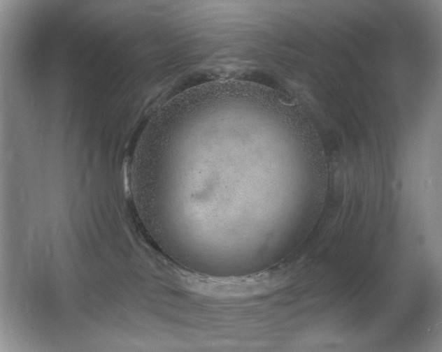 X0000064760042200602101234