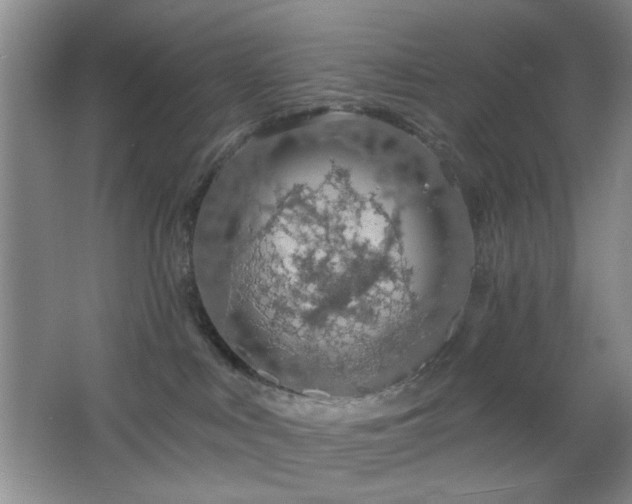 X0000064760043200602101234