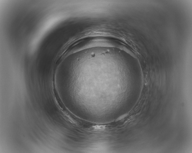X0000064760052200602101234