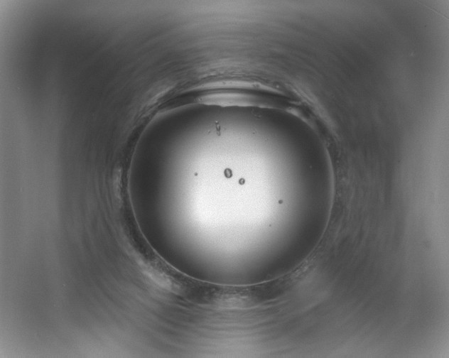 X0000064760066200602101234