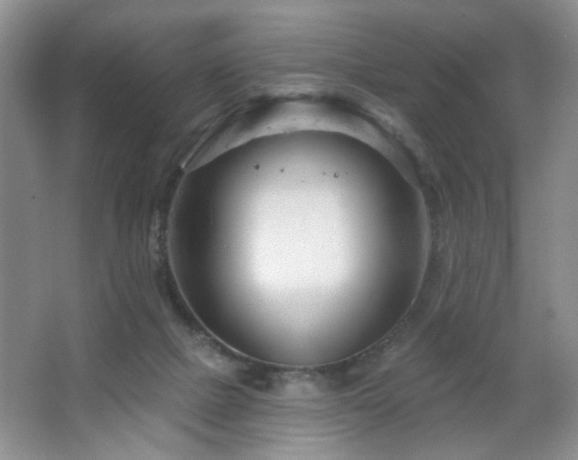 X0000064760073200602101234