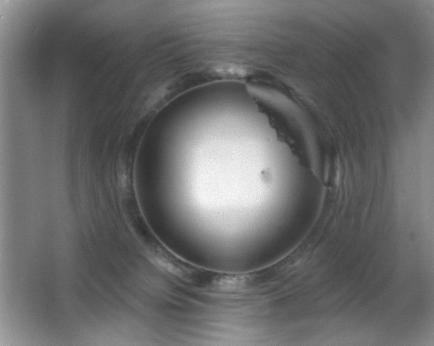 X0000064760084200602101234