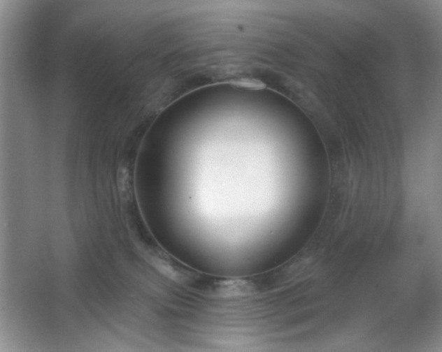 X0000064760087200602101234