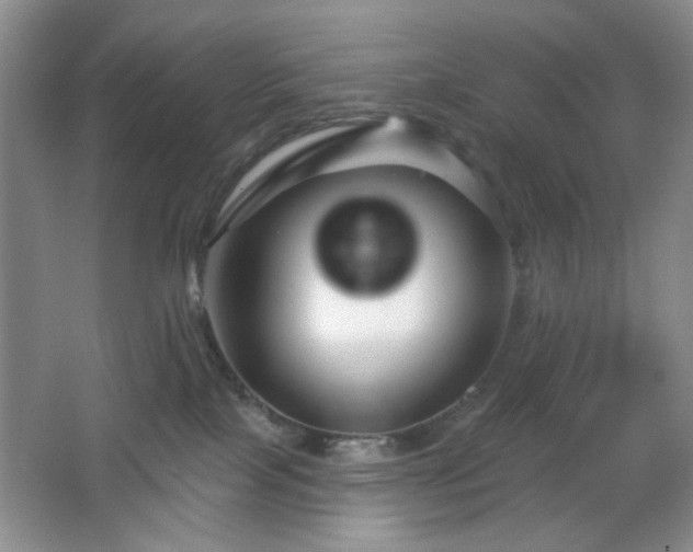 X0000064760089200602101234