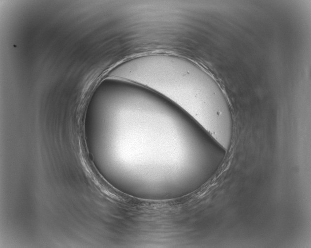 X0000064760097200602101233