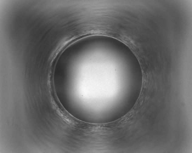 X0000064760098200602101233