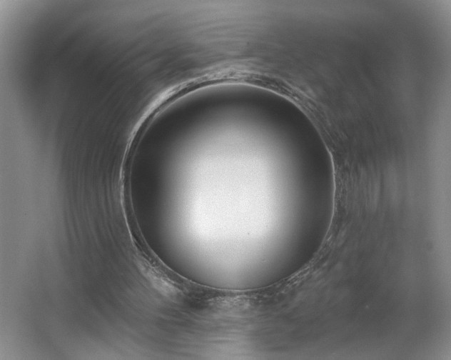 X0000064760100200602101233