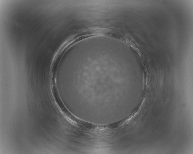 X0000064760101200602101233