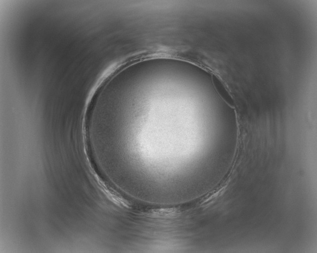 X0000064760102200602101233