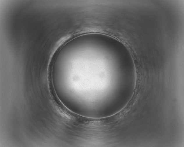 X0000064760104200602101233