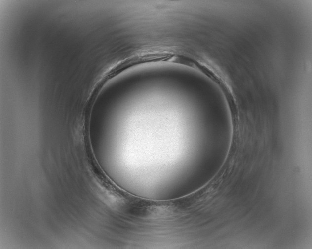 X0000064760107200602101233