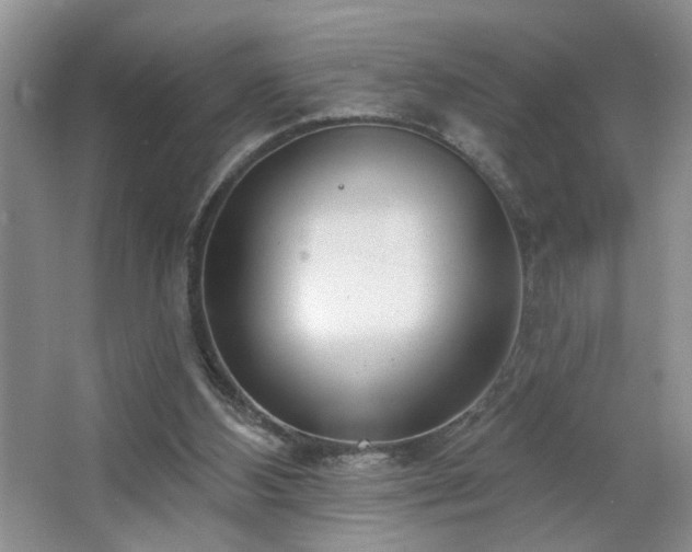 X0000064760108200602101233