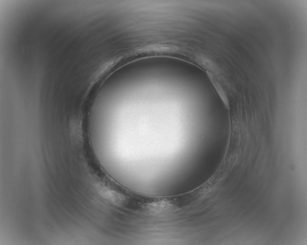 X0000064760112200602101233