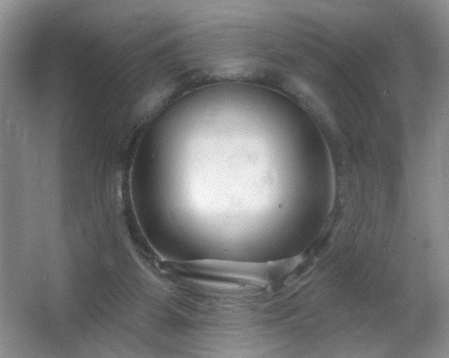 X0000064760115200602101233
