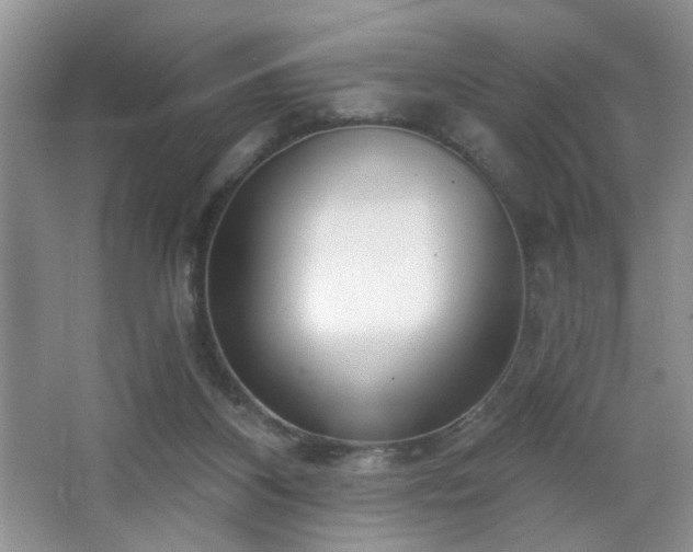X0000064760116200602101233