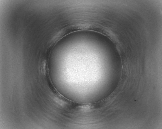 X0000064760118200602101233