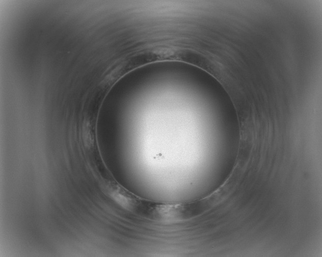 X0000064760136200602101233