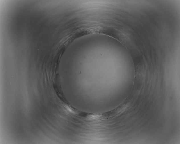 X0000064760139200602101233