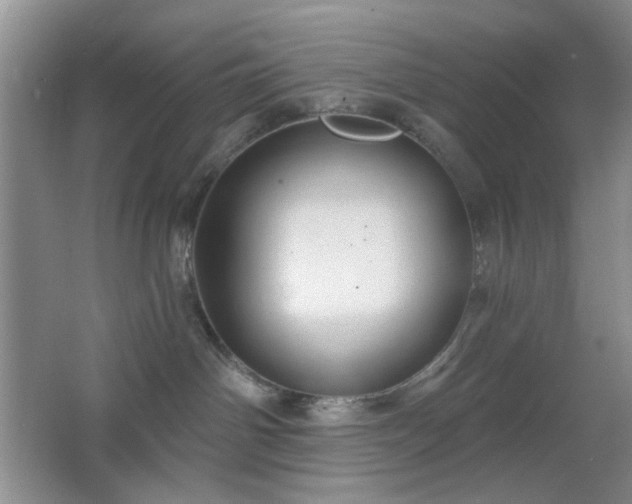 X0000064760142200602101233