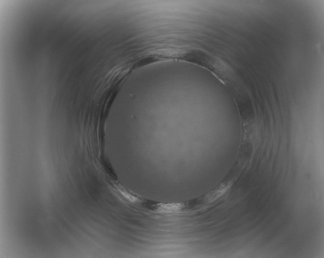 X0000064760143200602101233