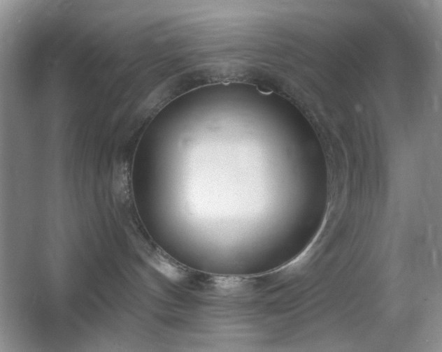 X0000064760144200602101233