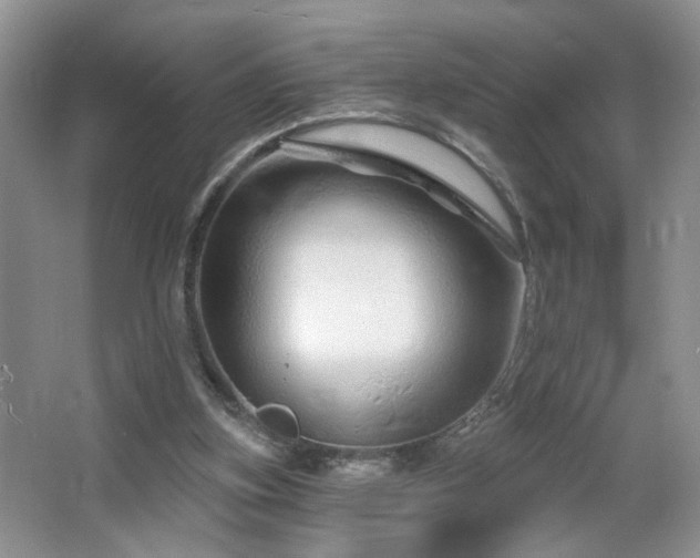 X0000064760155200602101232