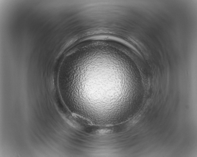 X0000064760158200602101232