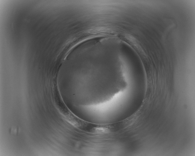X0000064760167200602101232