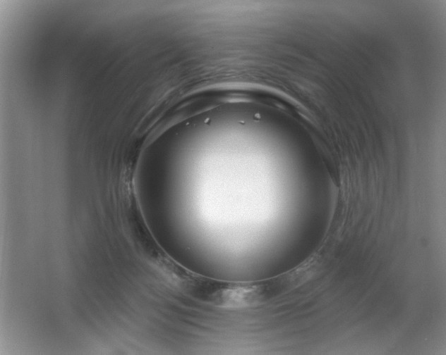 X0000064760172200602101232