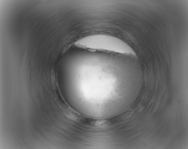 X0000064760173200602101232