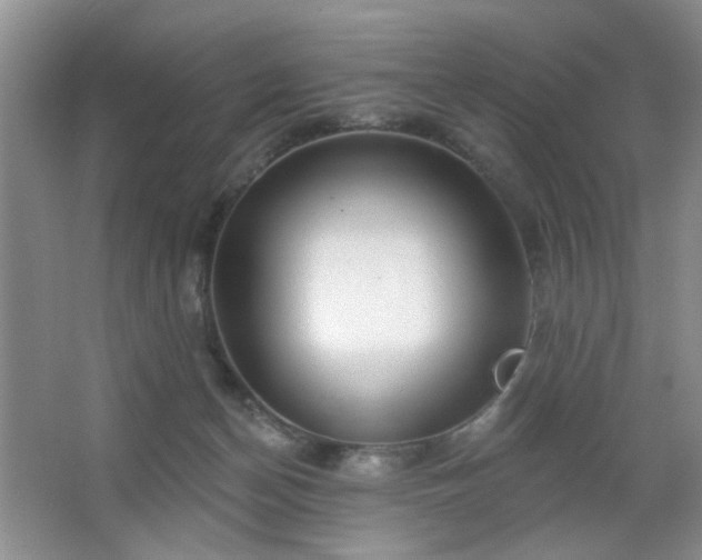 X0000064760174200602101232